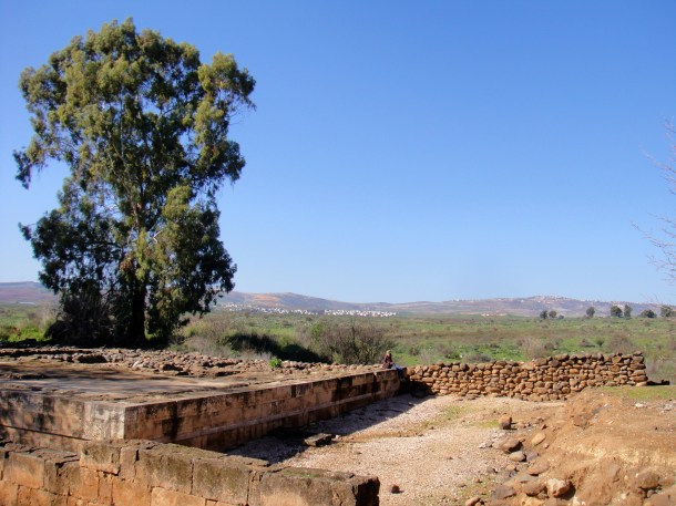 tel dan nature reserve