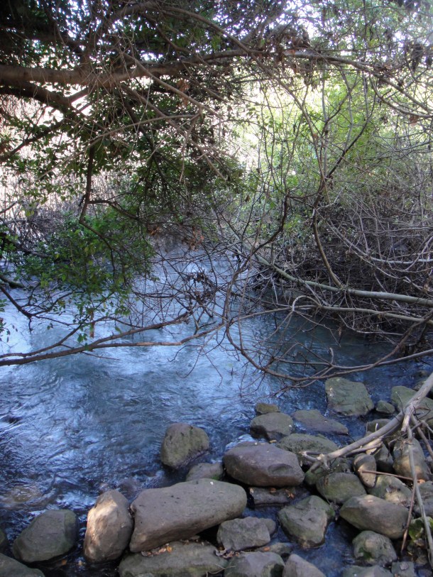 tel dan nature reserve karst spring