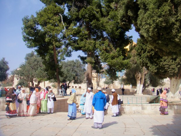 temple mount