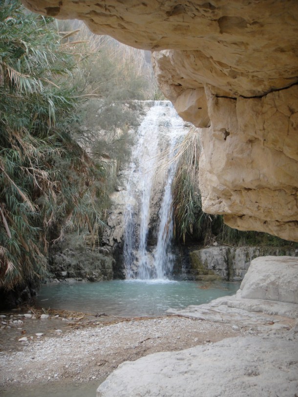 waterfall ein gedi nature reserve