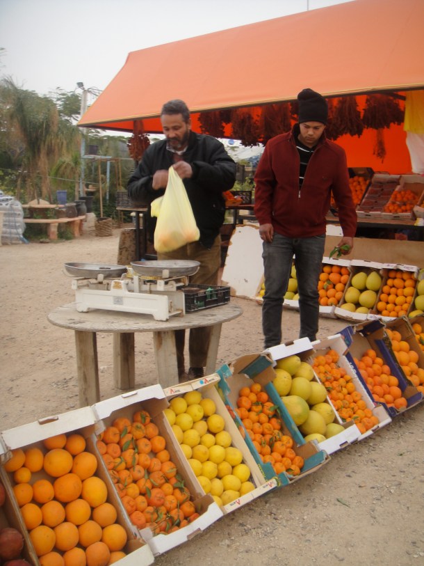 fruit seller west bank