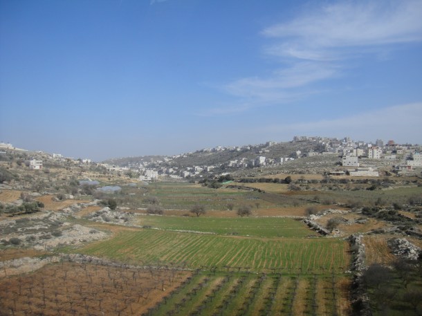 palestine farm