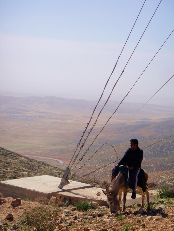 palestine goat herder