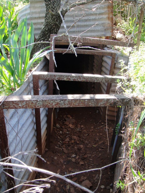 tel-dan-post-outlook tel dan post outlook