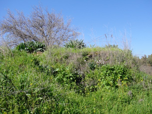 tel-dan-post-outlook tel dan post outlook