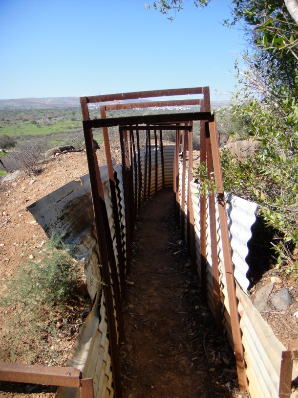 tel-dan-post-outlook tel dan post outlook