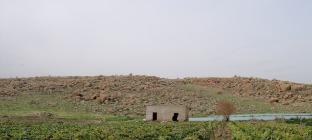 west bank landscapes