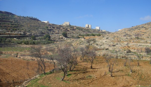 west bank landscapes