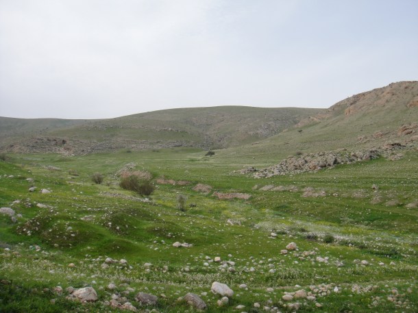 west bank landscapes