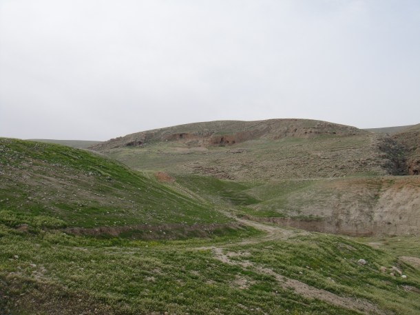 west bank landscapes