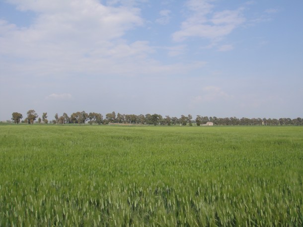 farm partisans italy