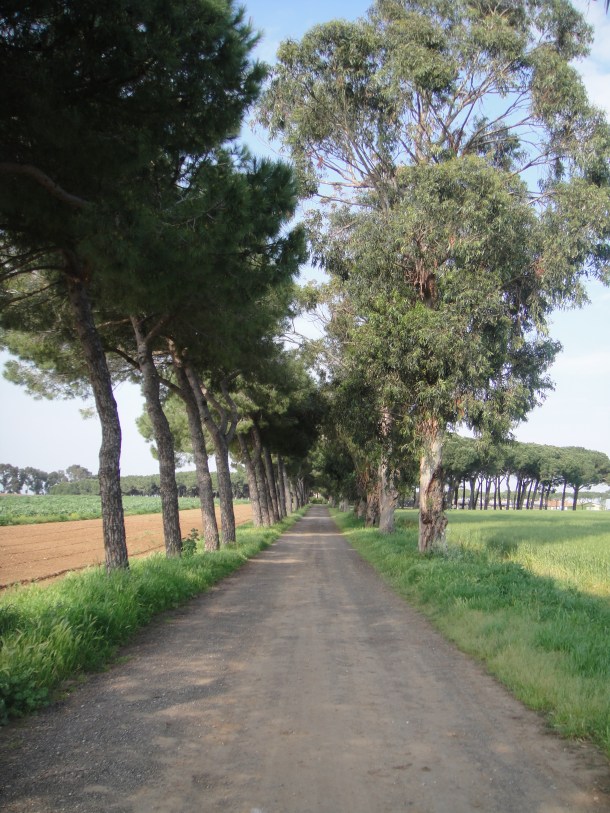 italian partisans farm