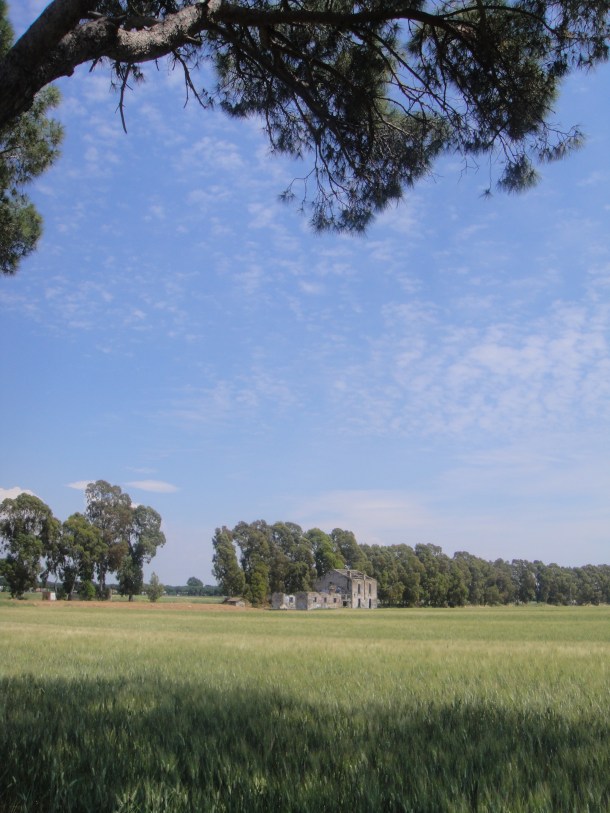 partisans farm italy
