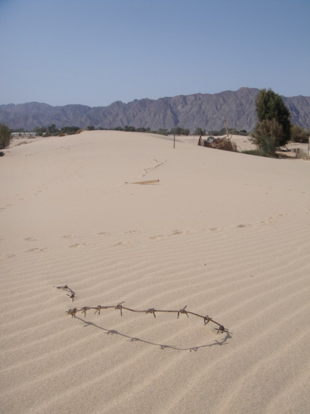 nuweiba sinai