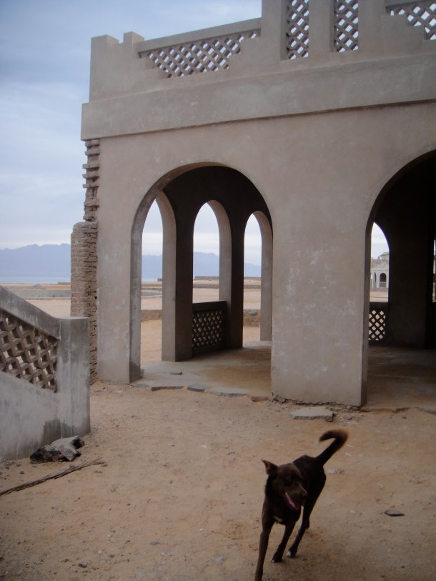 abandoned sinai
