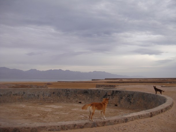 empty pool sinai