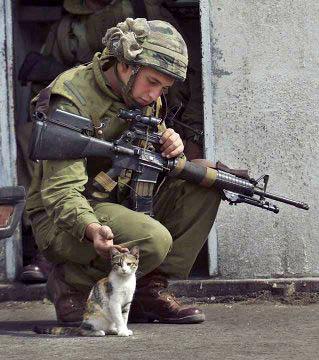 soldier with kitten