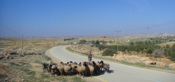road to susiya