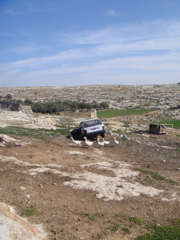 susiya 