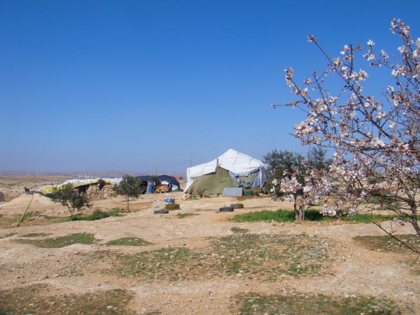 susiya 