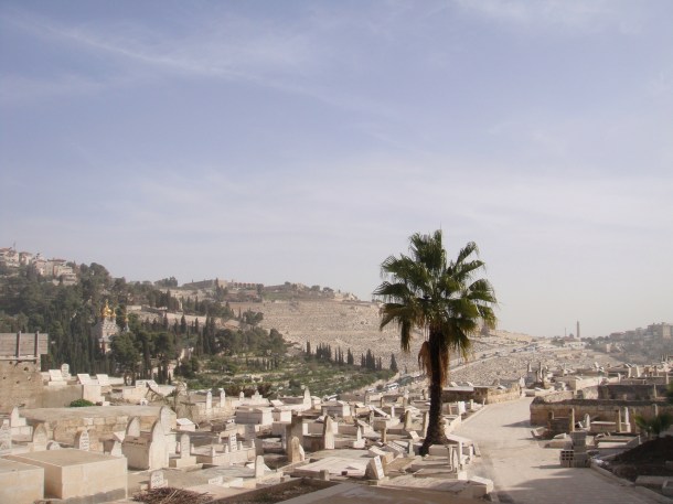 mount of olives