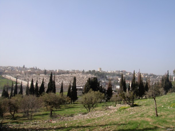 mount of olives trail