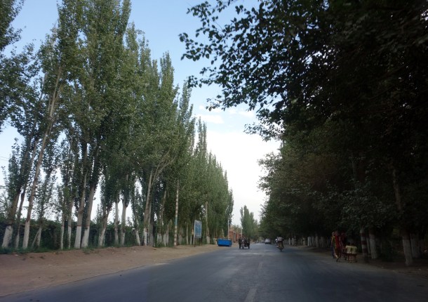 turpan