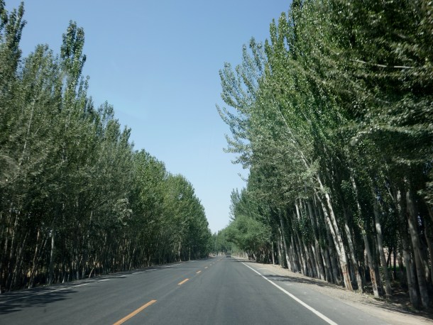 driving-in-xinjiang