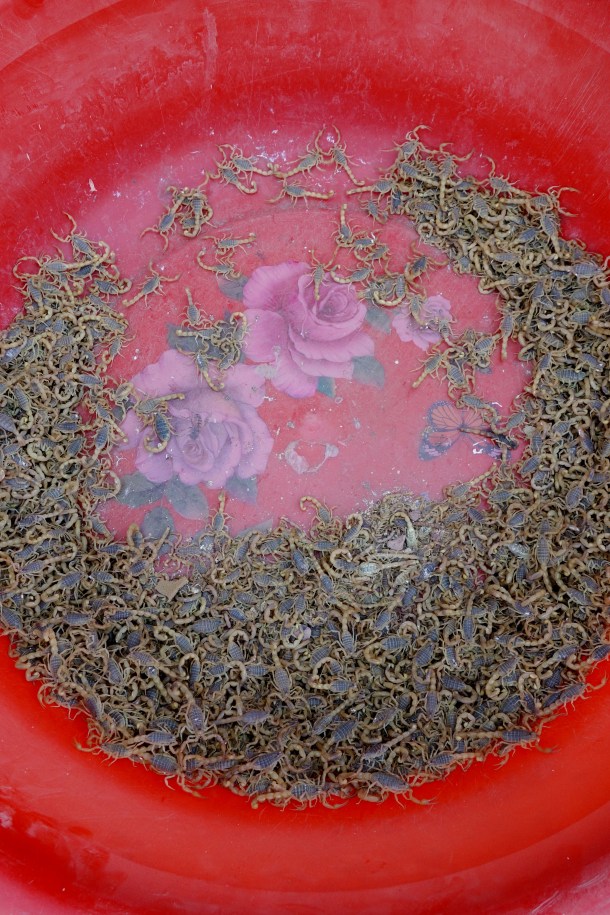 kashgar-sunday-market