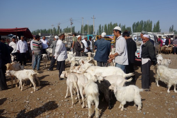 goats-kashgar-livestock-market