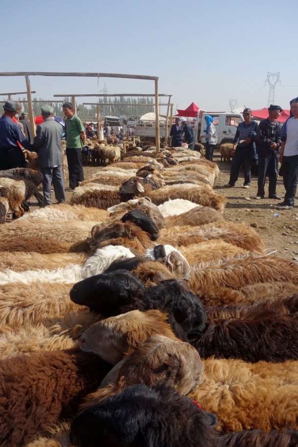 kashgar-livestock-market