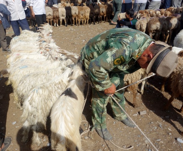 kashgar-livestock-market