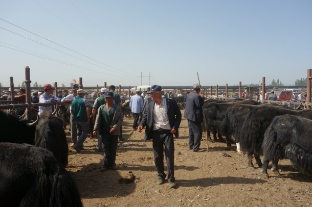 kashgar-livestock-market