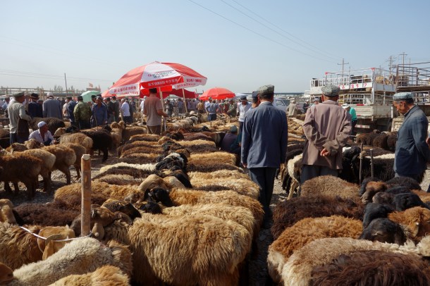 kashgar-livestock-market