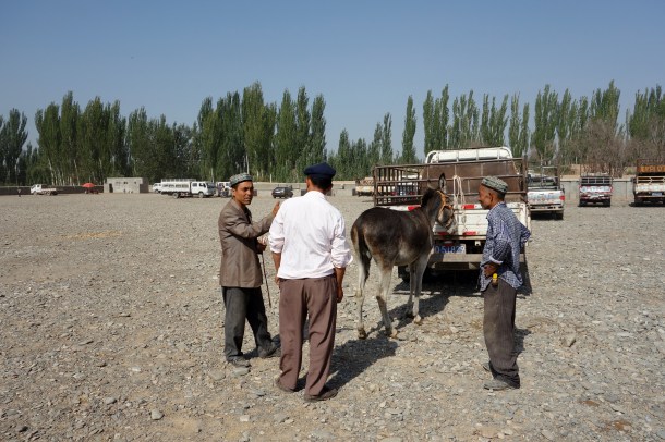 kashgar-livestock-market
