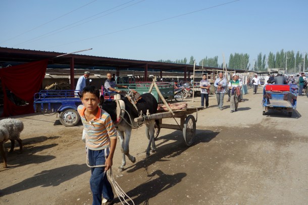 kashgar-livestock-market