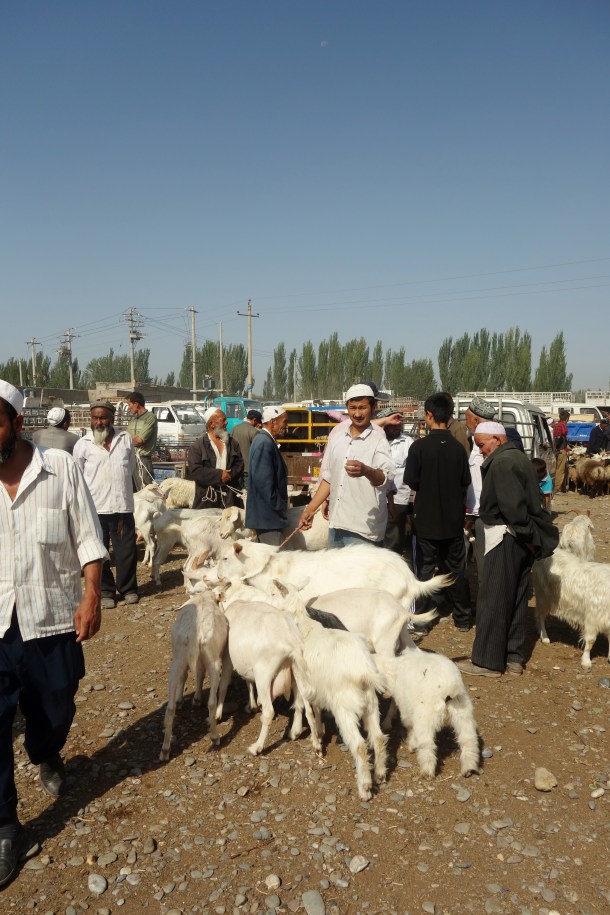 kashgar-livestock-market