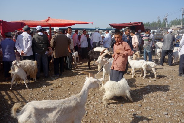kashgar-livestock-market
