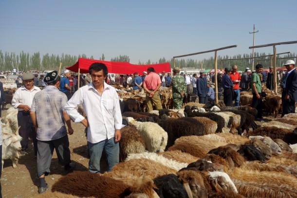 kashgar-livestock-market