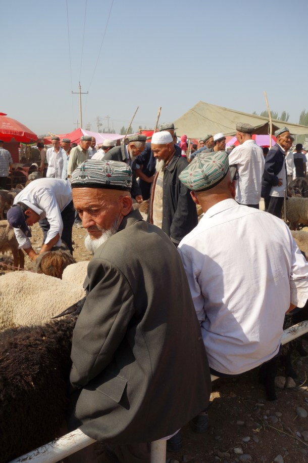 livestock-market-kashgar