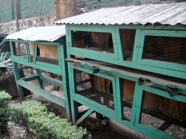 rabbit-cages-leon-trotsky-home-mexico-city