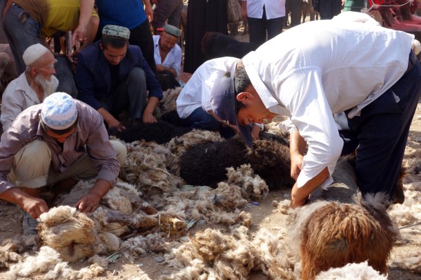 sheep-shearing-kashgar-livestock-market
