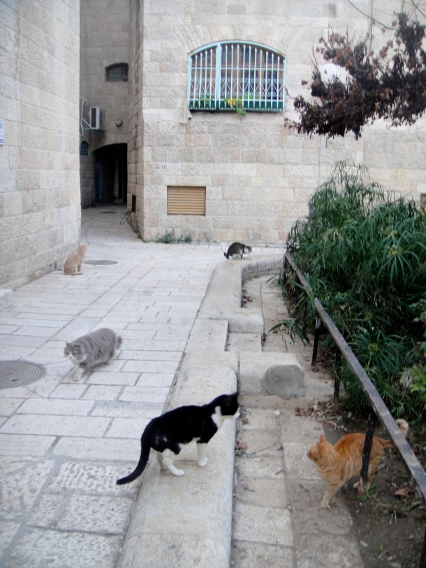 jerusalem-armenian-quarter