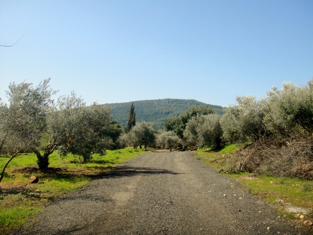 Kibbutz-Inbar 