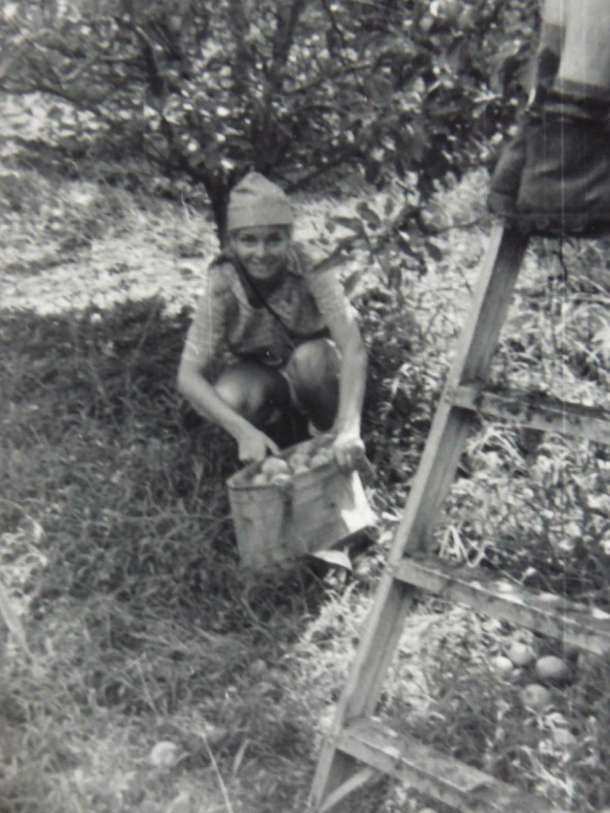 ma'anit-1972-picking-apples