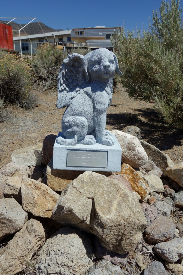 dead-dog-monument