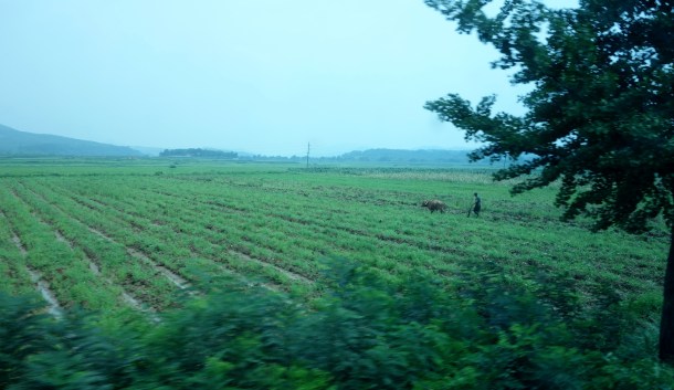 farm-dmz
