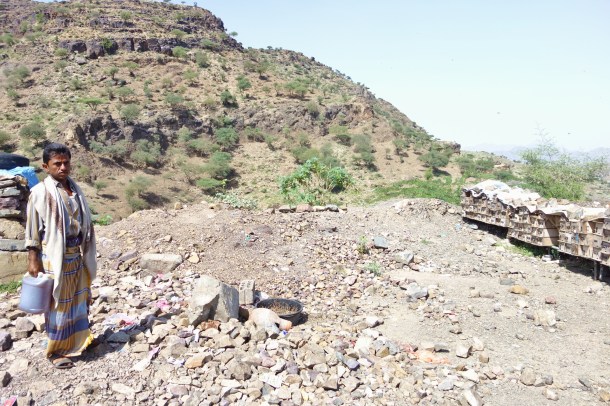 beekeeper-yemen