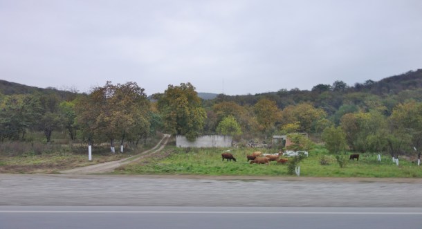 bombed-homes-chechnya