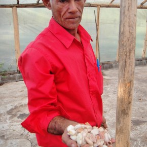 Where Your Chocolate Comes From: A Cocoa Plantation In The Dominican&nbsp;Republic